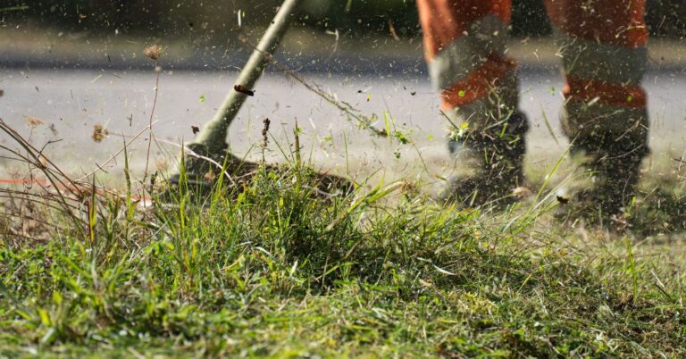 corte de grama em Aparecida de Goiânia